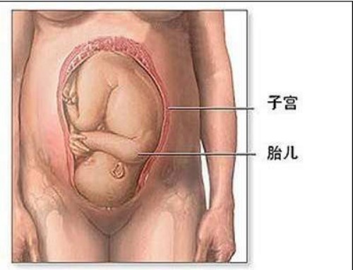 冉明医师创新国医精粹 铺就患者“健康之路”